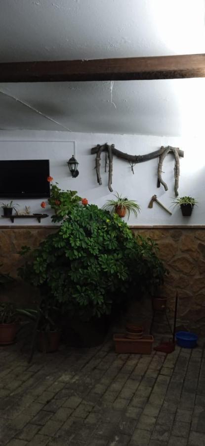 Penzion Casa Cueva El Almendro Pegalajar Exteriér fotografie